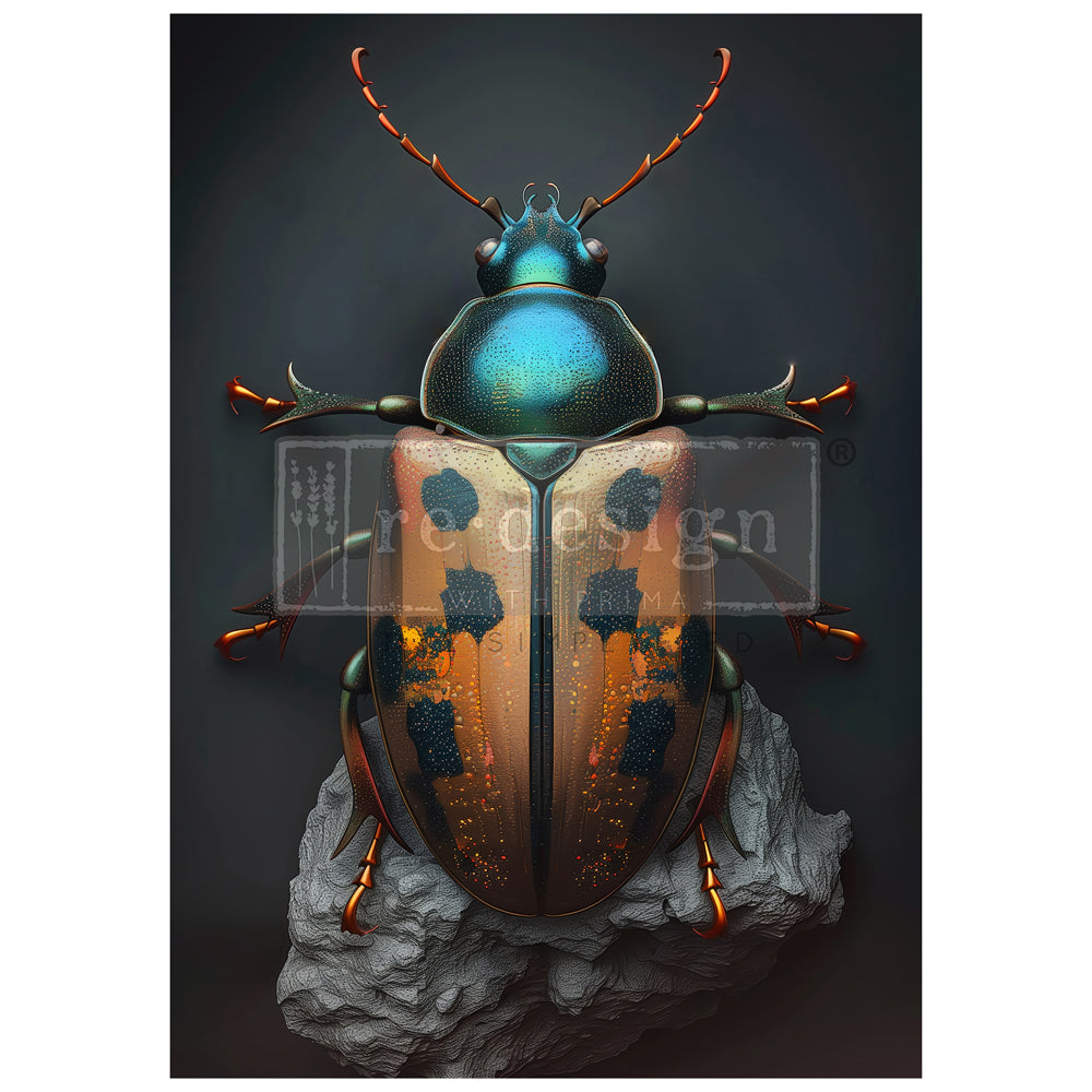 Redesign A1 Decoupage Fibre BRASSSCARAB