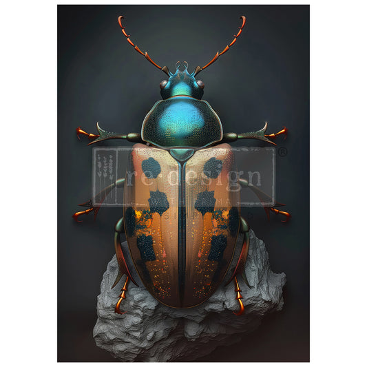 Redesign A1 Decoupage Fibre BRASSSCARAB