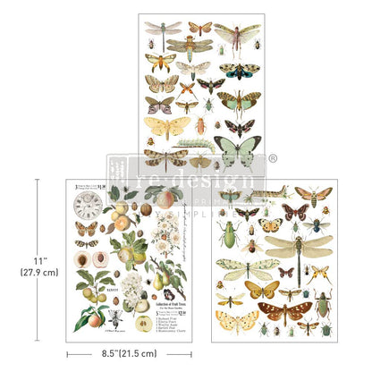 Redesign Decor Transfers® BUG WHISPERER