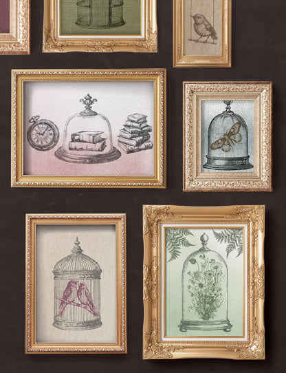 NEW IOD Decor Stamps™ PASTICHE