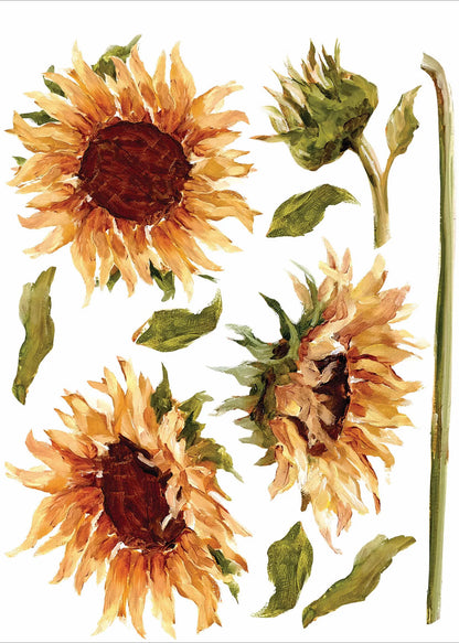 IOD Decor Transfers™ PAINTERLY FLORALS