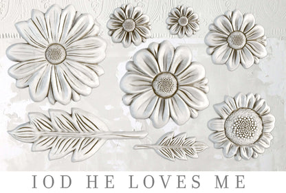 IOD Moulds™ HE LOVES ME