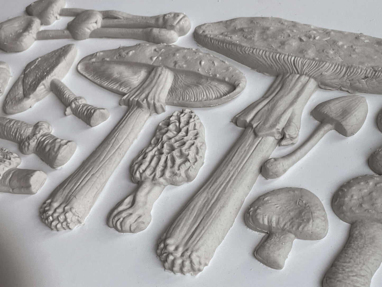 IOD Moulds™ TOADSTOOL