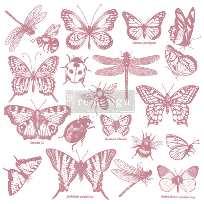 Redesign Decor Stamp MONARCH COLLECTION