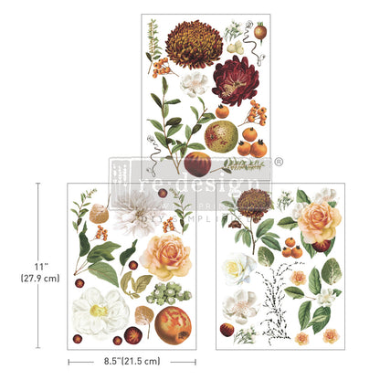 Redesign Decor Transfers® MIDDY SEASONAL SPLENDOR