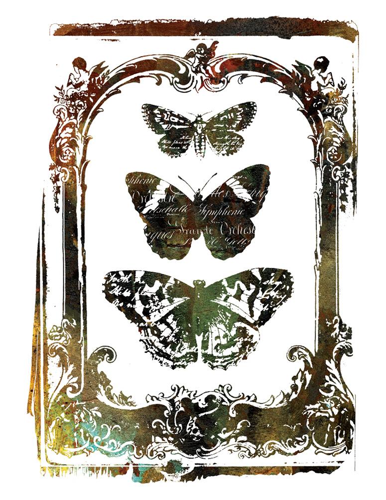 Redesign Decor Transfer – BUTTERFLY FRAME | redesign-transfer-butterfly-frame | Redesign with Prima