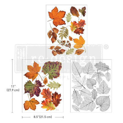 Redesign Decor Transfers® CRUNCHY LEAVES FOREVER