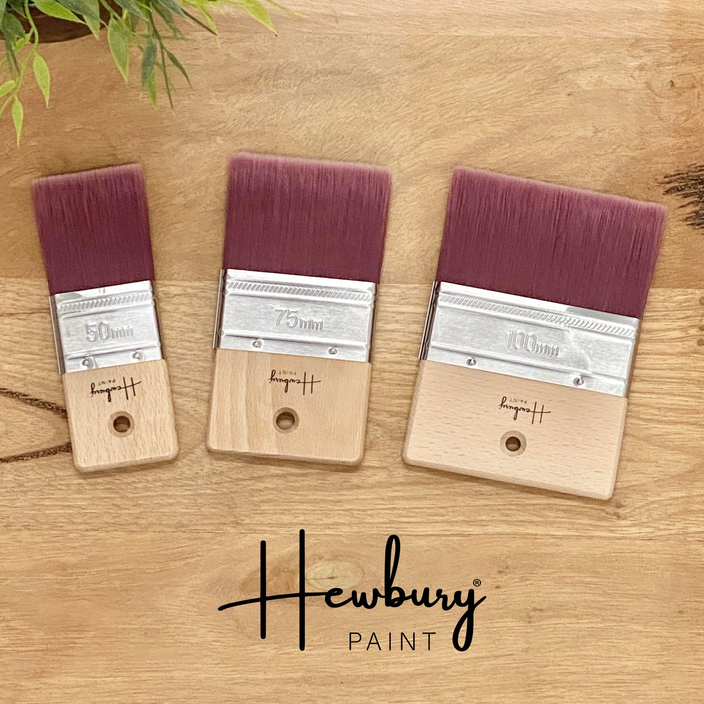 Hewbury Paint® - PALM BRUSH