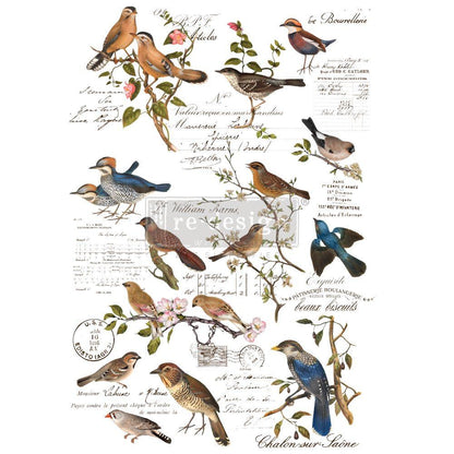Redesign Decor Transfer POSTAL BIRDS | redesign-decor-transfer-postal-birds | Redesign with Prima
