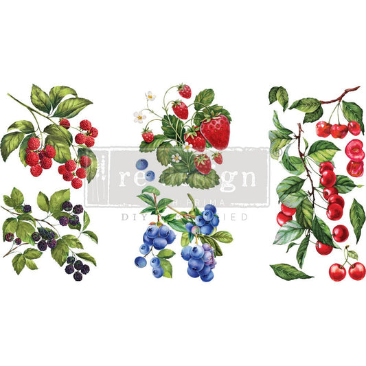 Redesign Decor Transfers® SWEET BERRIES